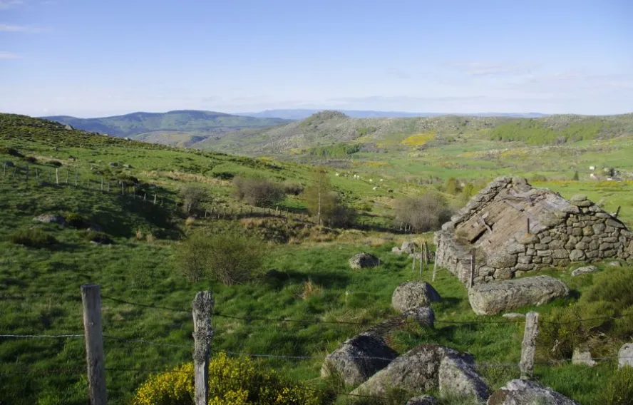 stevenson-mont-lozere