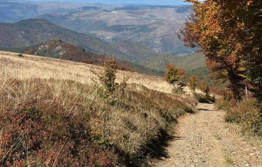 mbellanger chemin-stevenson-automne