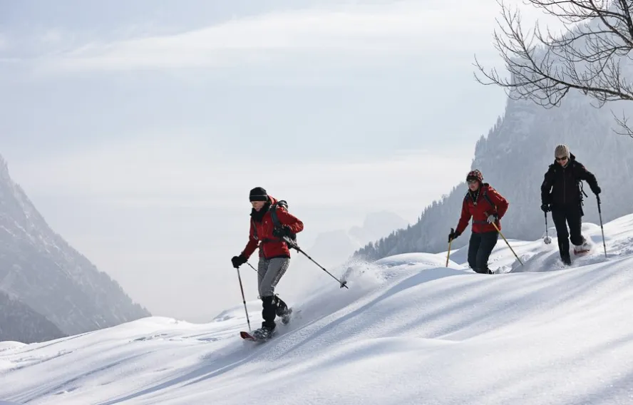 Albereuter Raquettes dans le Bregenzerwald