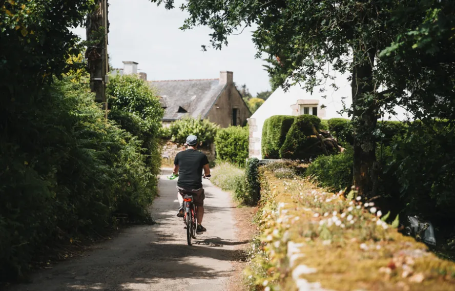 MCoppin les pouilles à vélo