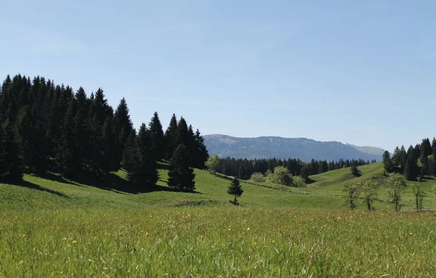 Parc naturel du Haut-Jura