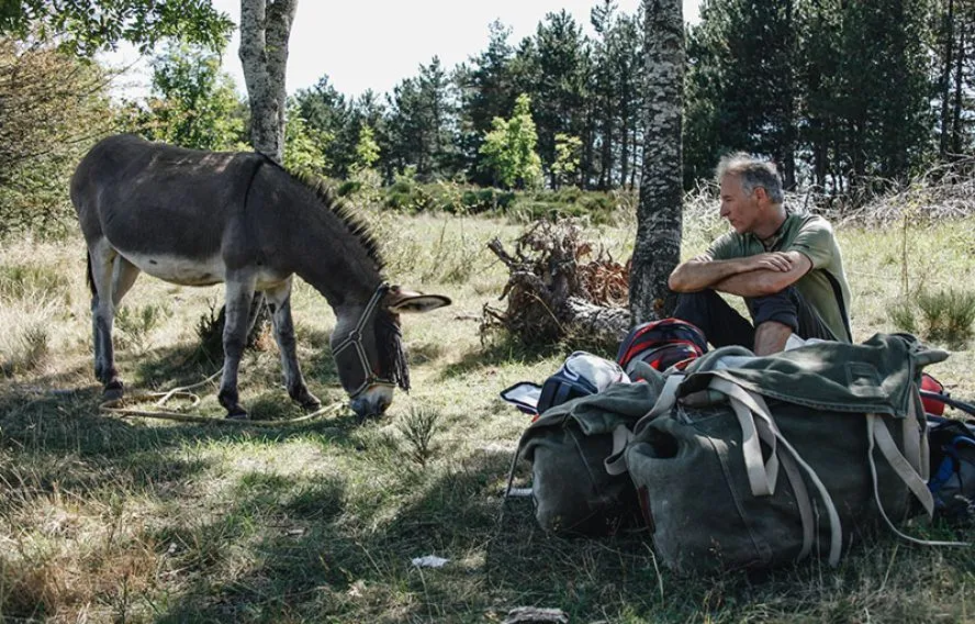 stevenson-avec-un-ane-lozere