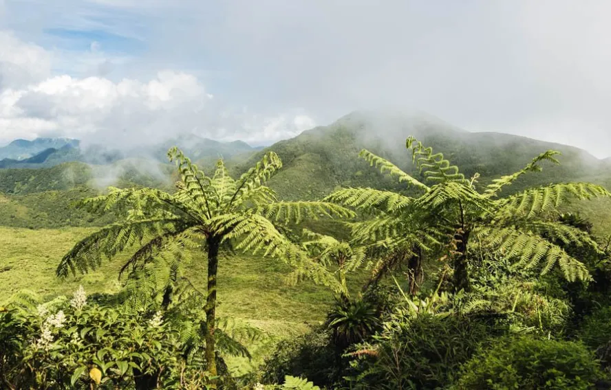 Volcan de la Soufrière