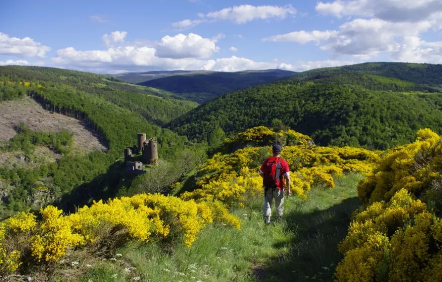 château  de Tournel