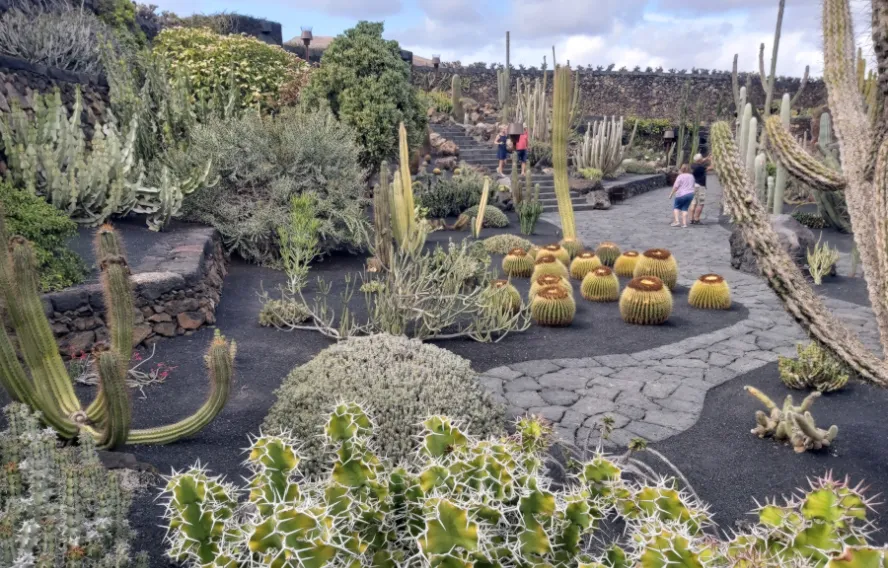 Jardin de Cactus