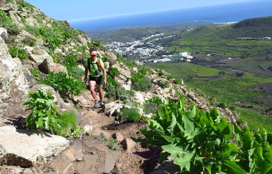 les panoramas verdoyants du nord de Lanzarote