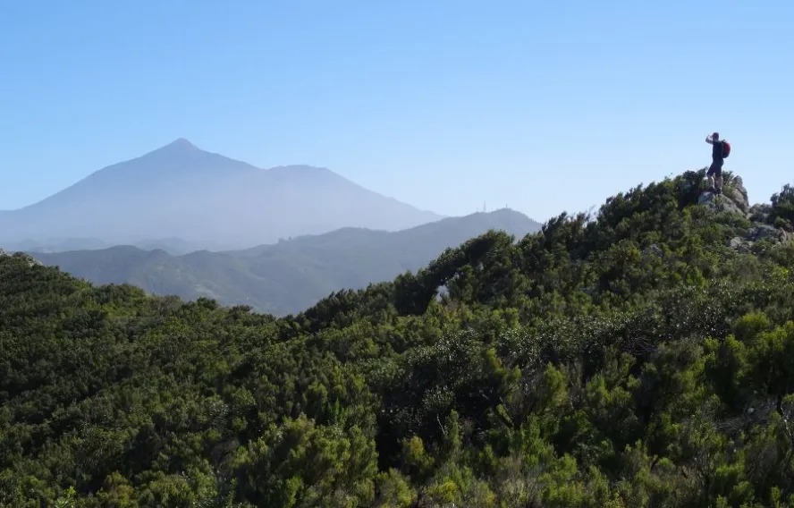 paysages-teide-sdelaunay