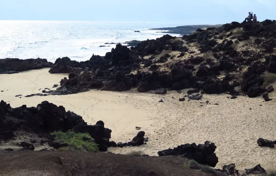 Les plages et la roche volcanique de Lanzarote