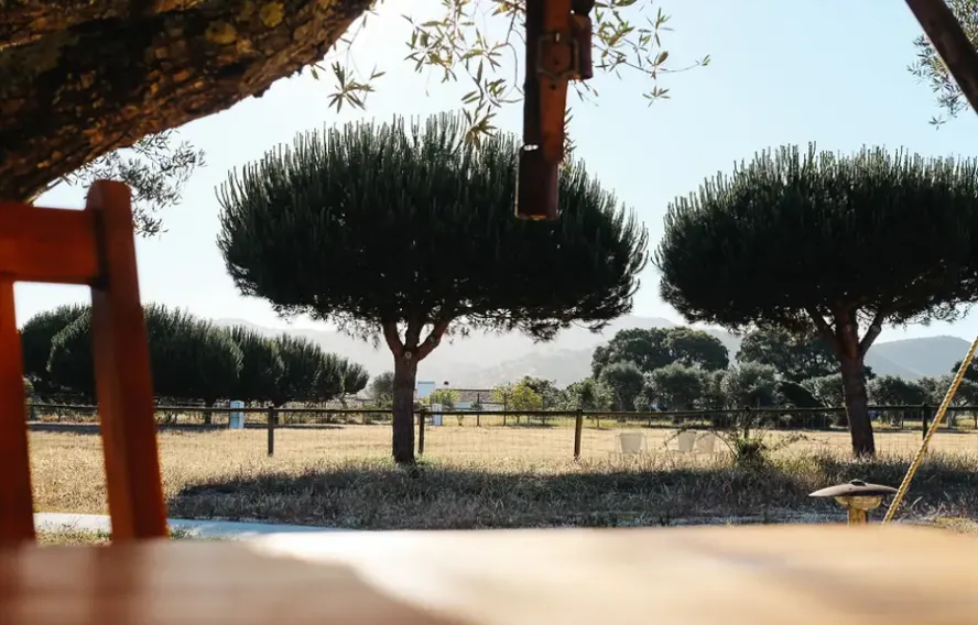 vue depuis hébergement rota vicentina portugal