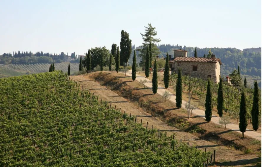 Volpaia, sienne, italie
