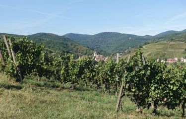 Image Villages et vignobles d'Alsace - 4 jours