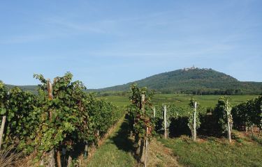Image Villages et vignobles d'Alsace - 7 jours