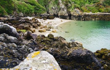 Image Jersey, Guernesey et Sark