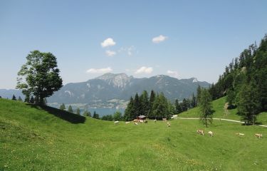 Image Randonnées alpines dans le Salzkammergut