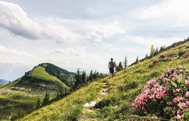 Image Randonnées alpines dans le Salzkammergut