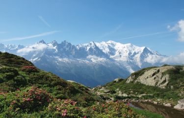 Image Trail du tour du Mont-Blanc