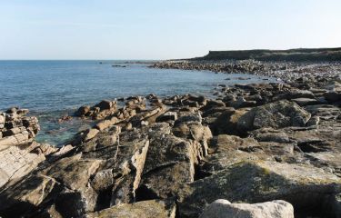 Image Randonnée douce et thalasso à Roscoff