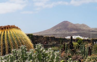 Image Lanzarote et la Graciosa en famille