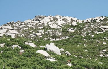 Image L'île d'Elbe