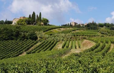 Image Toscane nature et charmes du Chianti