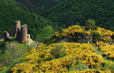 Image Mont-Lozère