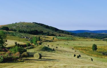 Image Mont-Lozère