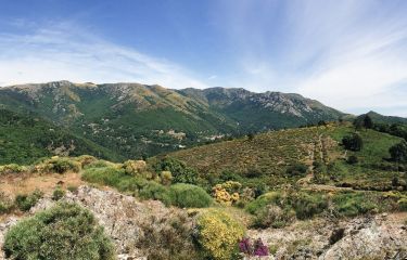 Image Bien-être au Mont-Lozère