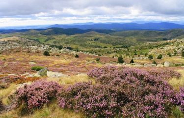 Image Mont-Lozère et Cévennes