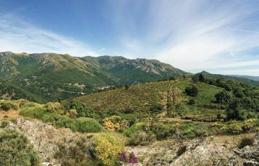 Image Mont-Lozère et Cévennes