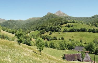 Image Cantal, terroir de caractère