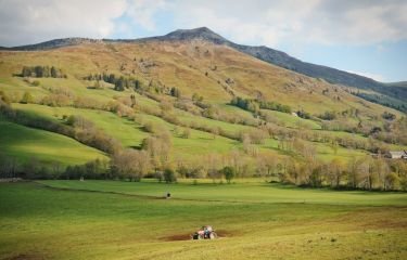 Image Laveissière, volcans du Cantal