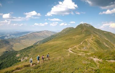 Image Laveissière, volcans du Cantal