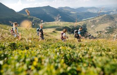 Image Laveissière, volcans du Cantal