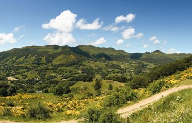 Image Laveissière, volcans du Cantal