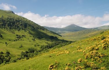 Image Laveissière, volcans du Cantal