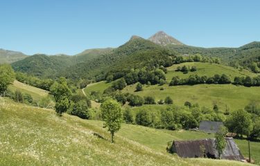 Image Authentique Cantal