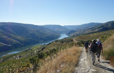 Image Porto et la vallée du Douro