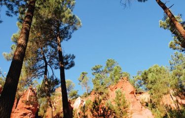 Image Tour du Luberon à vélo