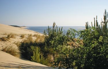 Image Tour du bassin d'Arcachon à vélo