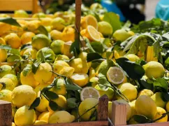 citron-sicile-marche-adobestock-cmon
