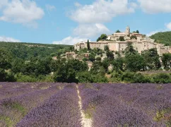provence_actu