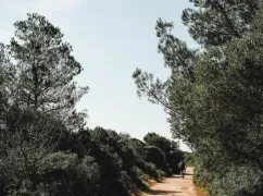randonner velo minorque baleares
