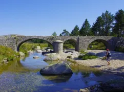 Les sources du tarn dans les cévennes