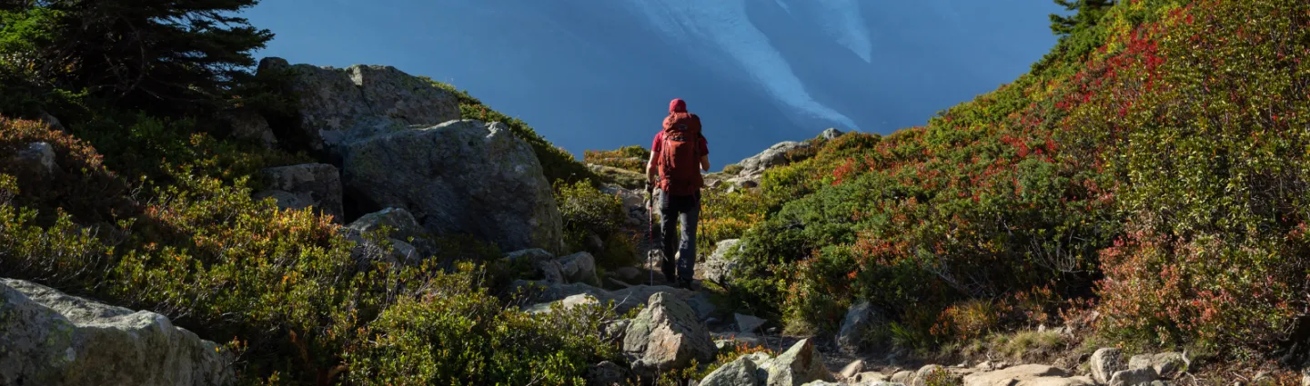 hike-chamonix