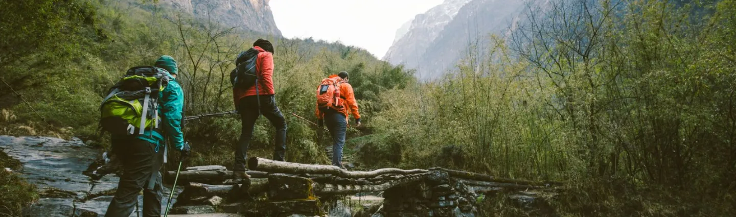 sejour-automne-yossarian6-adobestock