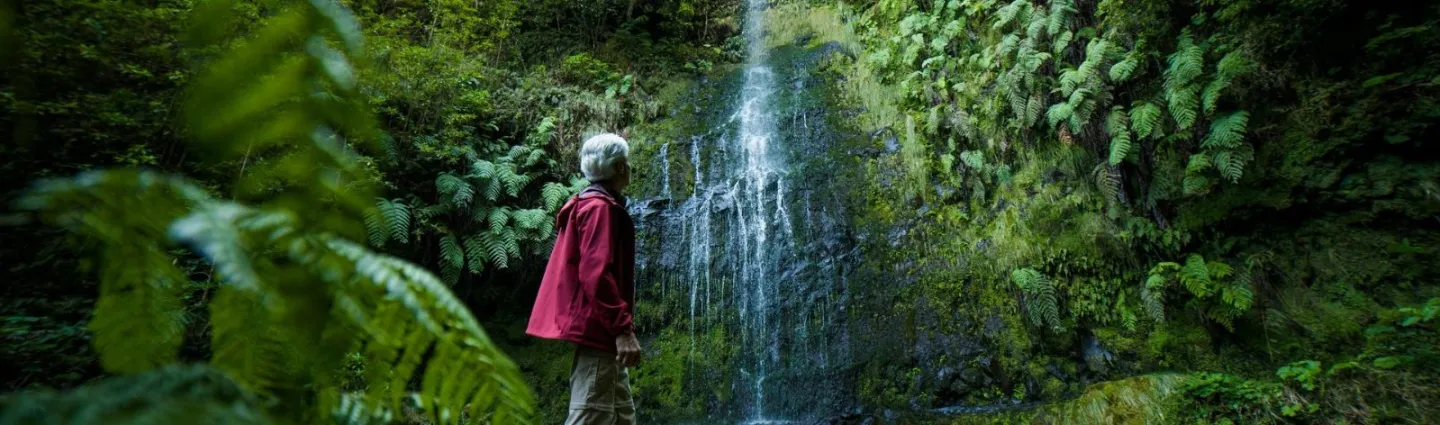 madere-lib-hikerwise-unsplash