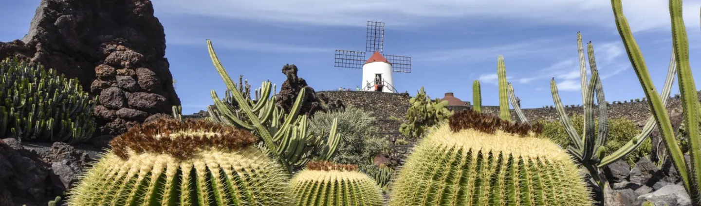 lanzarote-jardin-cactus-manrique-irenelorenz