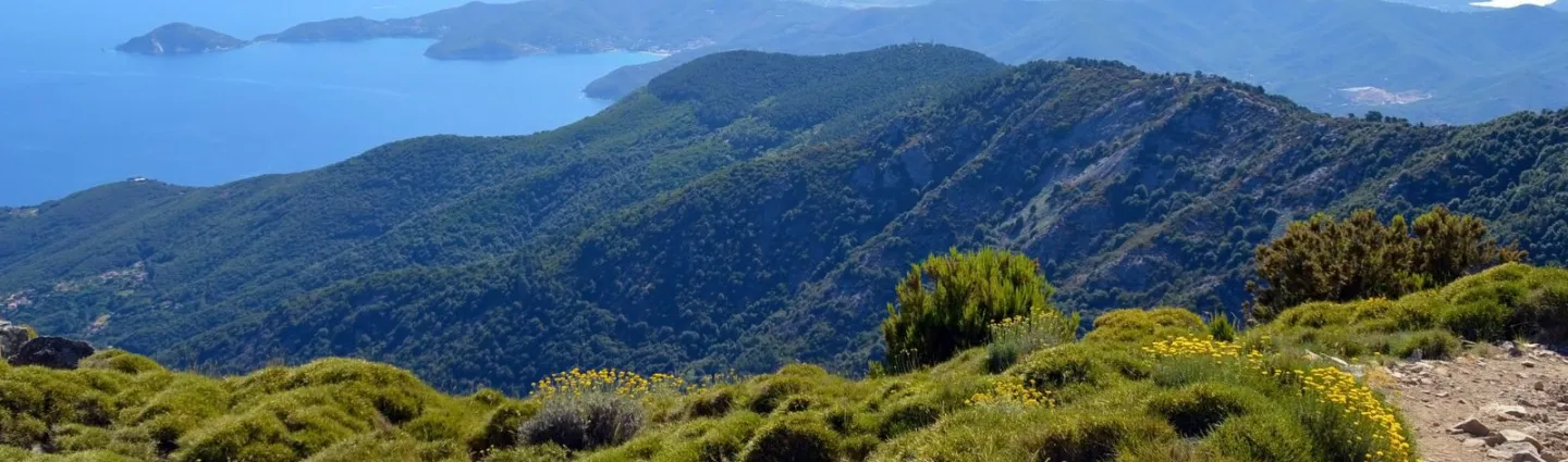 italie-ile-elbe-natahlie-danecker-adobestock