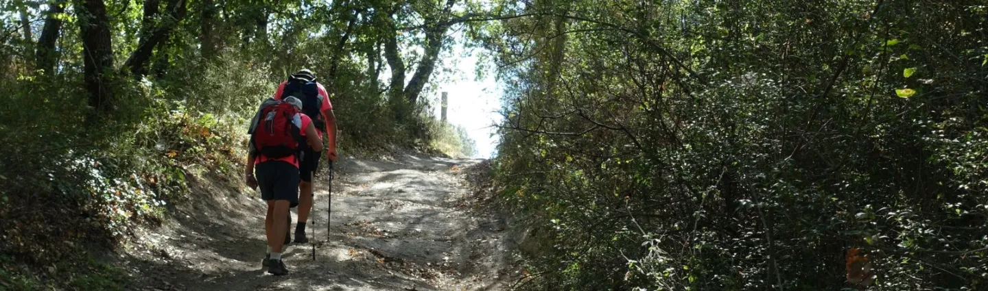 randonneurs-via-francigena-cmounier