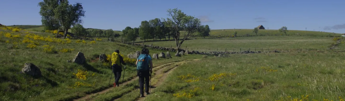 plateau-aubrac-psaintjean